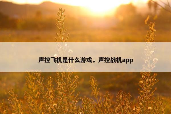 声控飞机是什么游戏，声控战机app