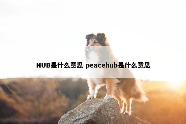 HUB是什么意思 peacehub是什么意思