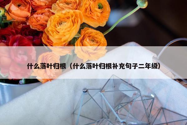 什么落叶归根（什么落叶归根补充句子二年级）