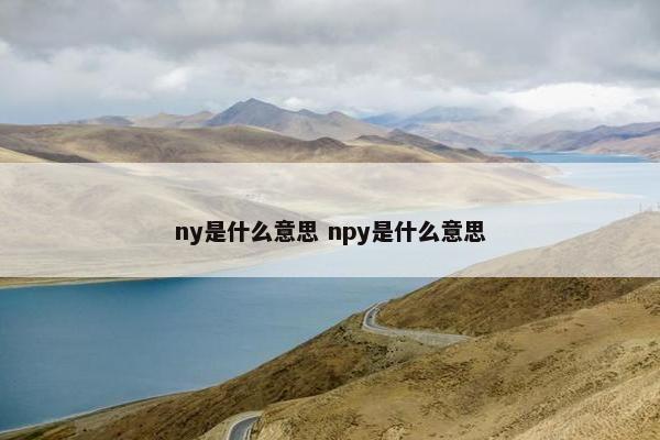 ny是什么意思 npy是什么意思