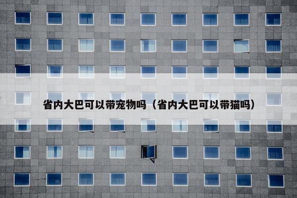 省内大巴可以带宠物吗（省内大巴可以带猫吗）