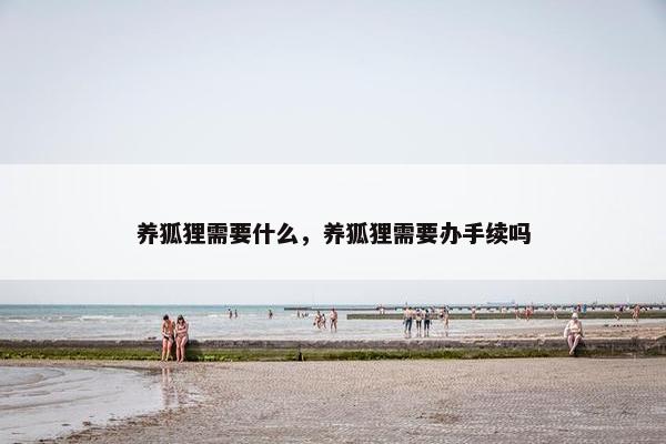 养狐狸需要什么，养狐狸需要办手续吗