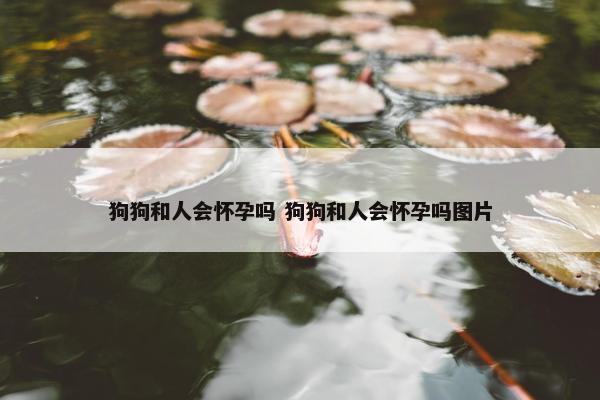 狗狗和人会怀孕吗 狗狗和人会怀孕吗图片