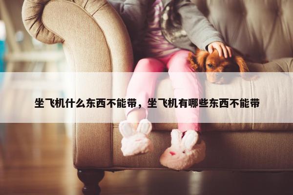 坐飞机什么东西不能带，坐飞机有哪些东西不能带