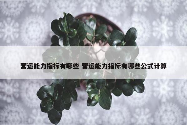 营运能力指标有哪些 营运能力指标有哪些公式计算