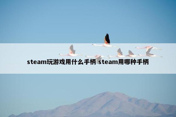 steam玩游戏用什么手柄 steam用哪种手柄