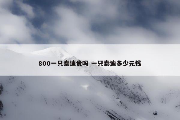 800一只泰迪贵吗 一只泰迪多少元钱