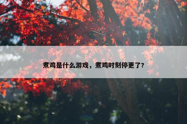 煮鸡是什么游戏，煮鸡时刻停更了?