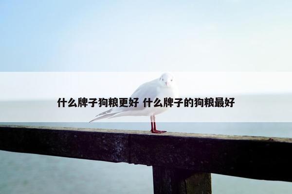 什么牌子狗粮更好 什么牌子的狗粮最好