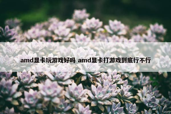 amd显卡玩游戏好吗 amd显卡打游戏到底行不行