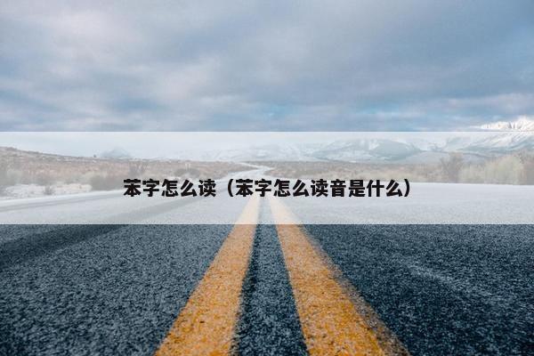 苯字怎么读（苯字怎么读音是什么）