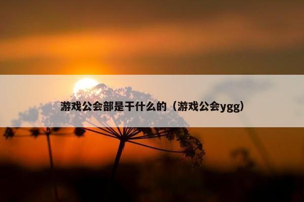 游戏公会部是干什么的（游戏公会ygg）