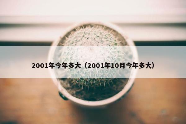 2001年今年多大（2001年10月今年多大）