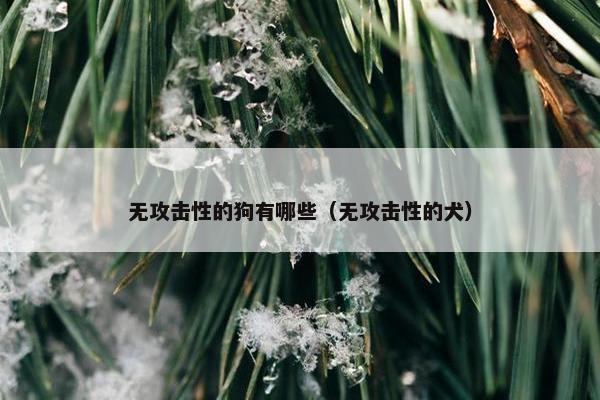 无攻击性的狗有哪些（无攻击性的犬）