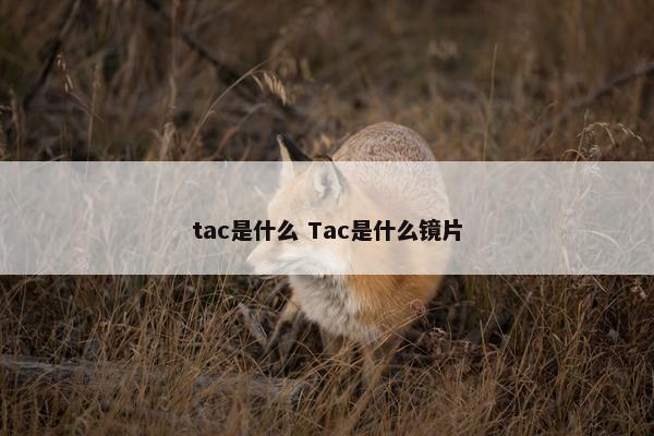 tac是什么 Tac是什么镜片