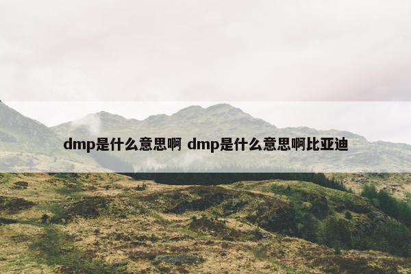 dmp是什么意思啊 dmp是什么意思啊比亚迪