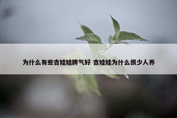 为什么有些吉娃娃脾气好 吉娃娃为什么很少人养