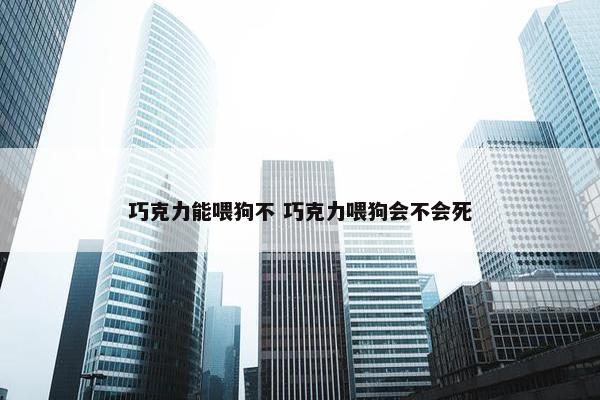 巧克力能喂狗不 巧克力喂狗会不会死