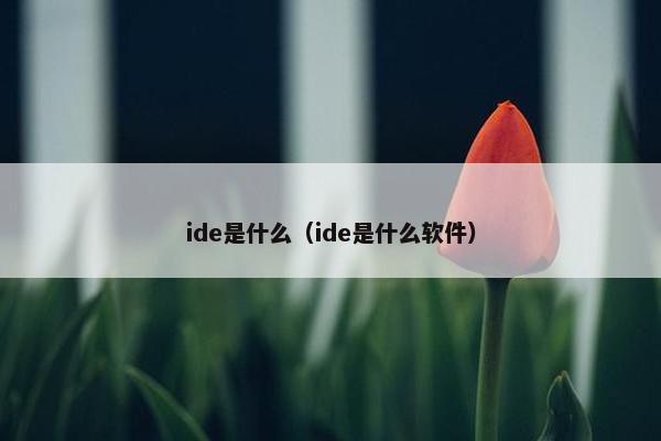 ide是什么（ide是什么软件）