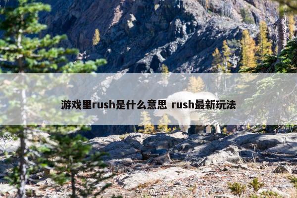 游戏里rush是什么意思 rush最新玩法