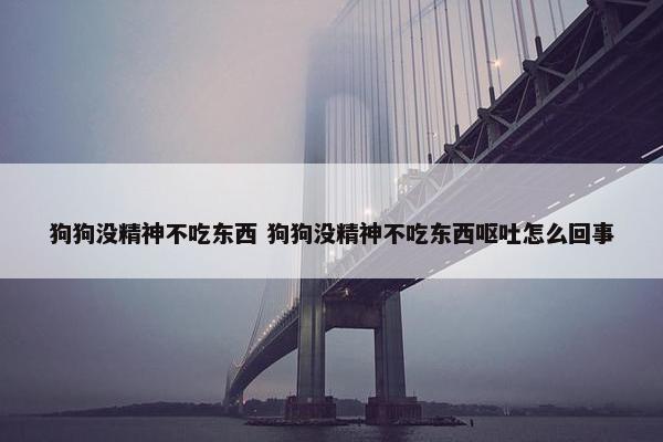 狗狗没精神不吃东西 狗狗没精神不吃东西呕吐怎么回事