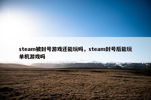 steam被封号游戏还能玩吗，steam封号后能玩单机游戏吗