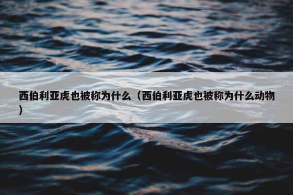 西伯利亚虎也被称为什么（西伯利亚虎也被称为什么动物）