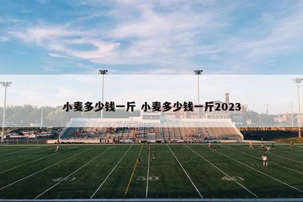 小麦多少钱一斤 小麦多少钱一斤2023