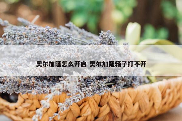 奥尔加隆怎么开启 奥尔加隆箱子打不开