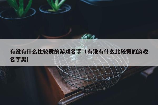 有没有什么比较黄的游戏名字（有没有什么比较黄的游戏名字男）