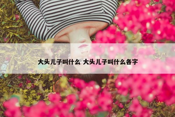 大头儿子叫什么 大头儿子叫什么各字