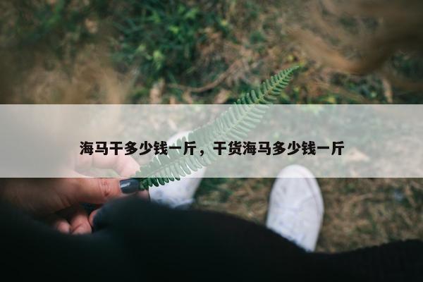 海马干多少钱一斤，干货海马多少钱一斤