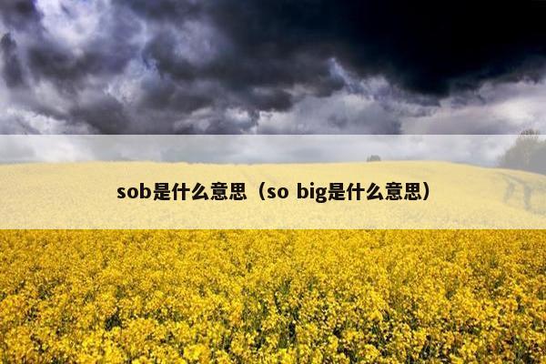 sob是什么意思（so big是什么意思）