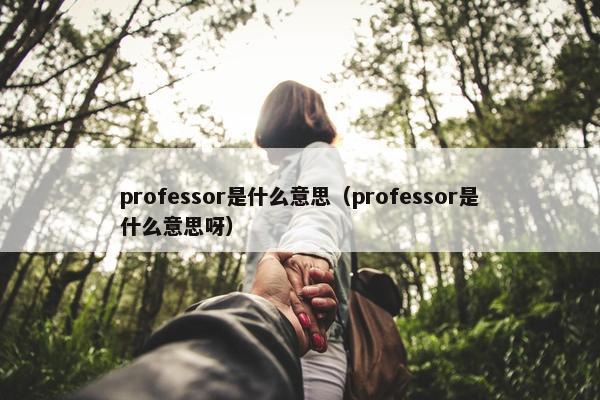 professor是什么意思（professor是什么意思呀）