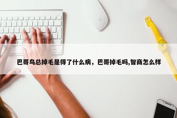 巴哥鸟总掉毛是得了什么病，巴哥掉毛吗,智商怎么样