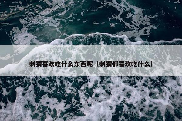 刺猬喜欢吃什么东西呢（刺猬都喜欢吃什么）