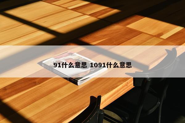 91什么意思 1091什么意思