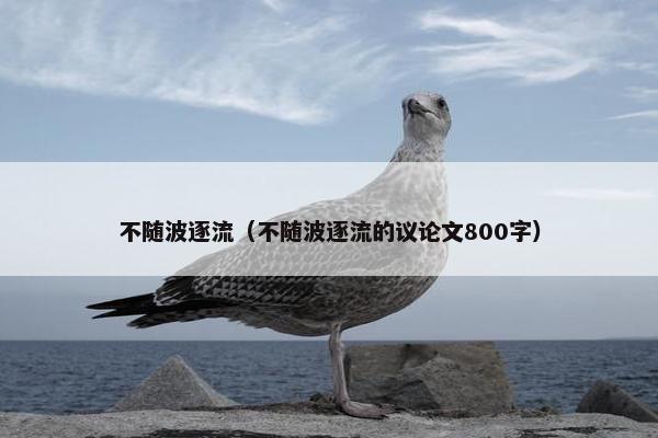 不随波逐流（不随波逐流的议论文800字）