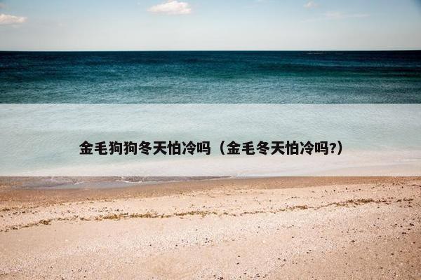 金毛狗狗冬天怕冷吗（金毛冬天怕冷吗?）