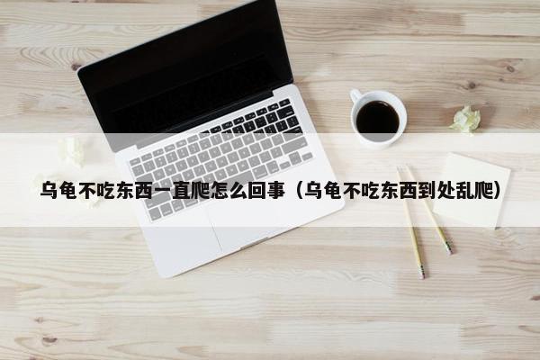 乌龟不吃东西一直爬怎么回事（乌龟不吃东西到处乱爬）