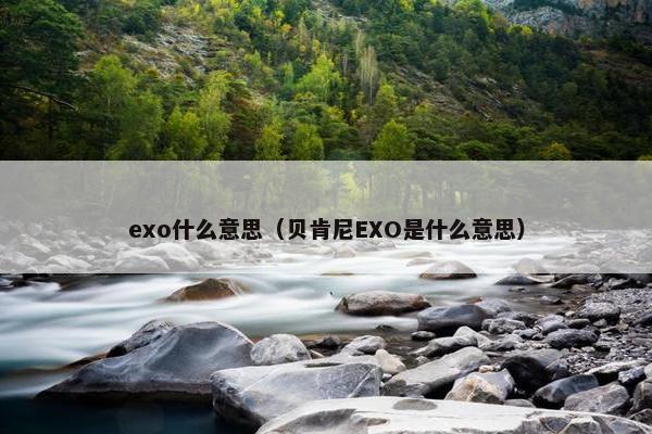 exo什么意思（贝肯尼EXO是什么意思）