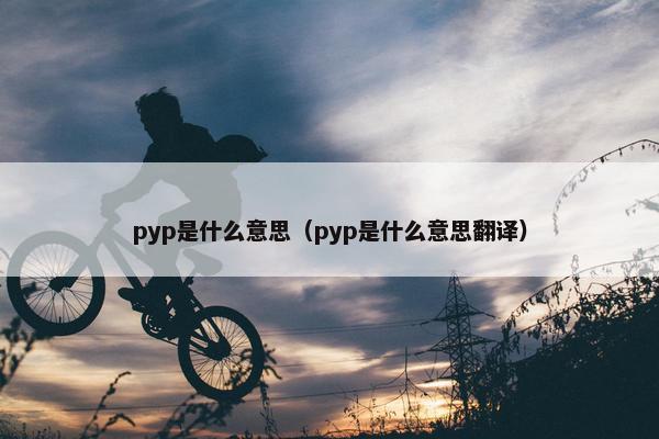 pyp是什么意思（pyp是什么意思翻译）