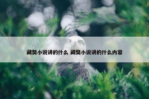 藏獒小说讲的什么 藏獒小说讲的什么内容