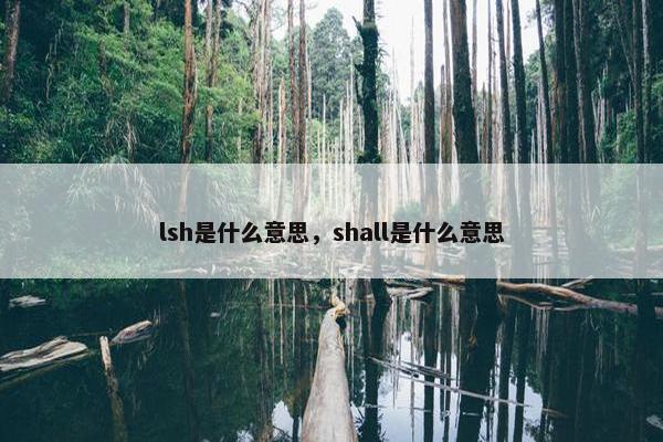 lsh是什么意思，shall是什么意思