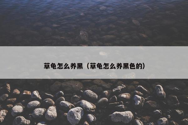 草龟怎么养黑（草龟怎么养黑色的）