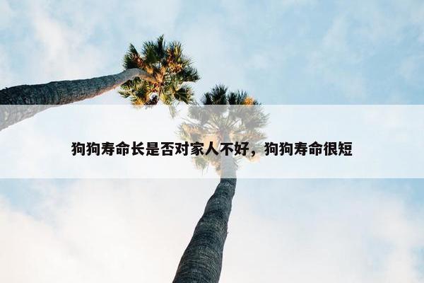 狗狗寿命长是否对家人不好，狗狗寿命很短