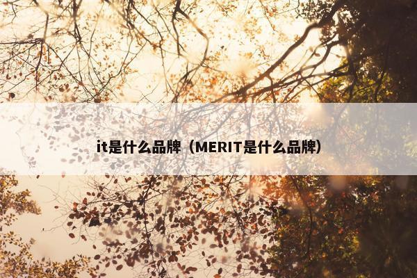 it是什么品牌（MERIT是什么品牌）