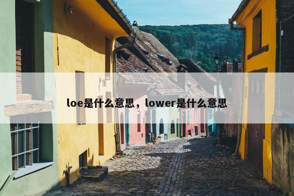 loe是什么意思，lower是什么意思