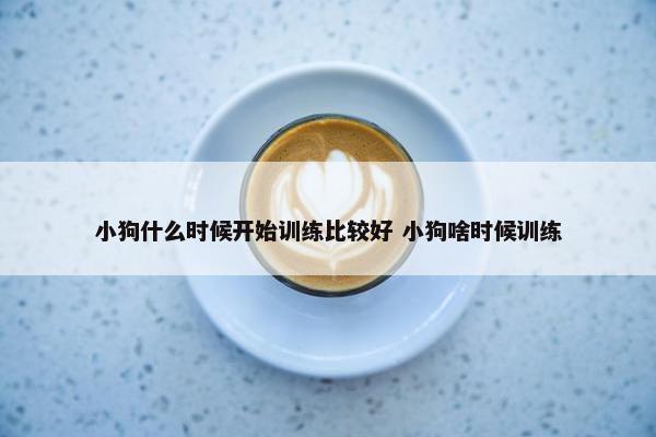 小狗什么时候开始训练比较好 小狗啥时候训练