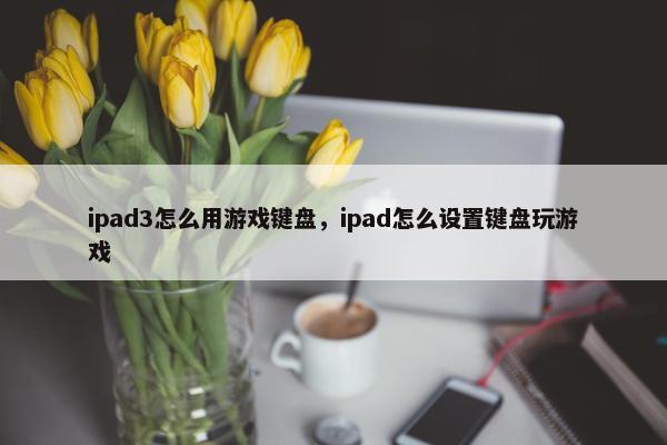 ipad3怎么用游戏键盘，ipad怎么设置键盘玩游戏